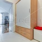 Rent 1 bedroom apartment of 42 m² in Zagreb