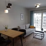 Rent 2 bedroom apartment of 47 m² in Lodz