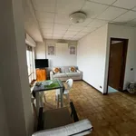 Rent 2 bedroom apartment of 77 m² in Roma