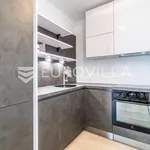 Rent 1 bedroom apartment of 44 m² in Zagreb