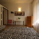 Rent 3 bedroom apartment of 50 m² in Siena