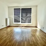 Pronajměte si 1 ložnic/e byt o rozloze 27 m² v Pilsen