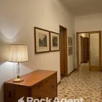 Rent 3 bedroom apartment of 20 m² in Padova