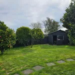 Rent 3 bedroom house in Christchurch