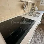 Rent 3 bedroom apartment of 40 m² in Turin