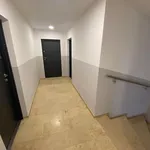 Rent 1 bedroom apartment of 44 m² in Berlin