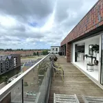 Rent 3 bedroom apartment of 170 m² in Amsterdam