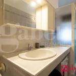 Rent 2 bedroom apartment of 50 m² in Milano