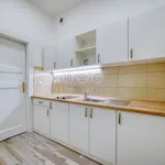 Rent 3 bedroom apartment of 82 m² in Plzeň