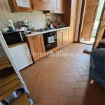 2-room flat excellent condition, ground floor, Sarzanello, San Lazzaro, Sarzana