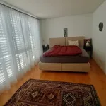 6½ room apartment in Belp (BE), furnished, temporary