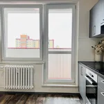 Rent 3 bedroom apartment of 66 m² in Ostrava