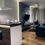 Rent 2 bedroom apartment of 39 m² in Katowice