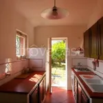 Rent 5 bedroom house of 180 m² in Monte Argentario