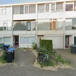 Huur 1 slaapkamer appartement van 36 m² in Vinkhuizen-Noord