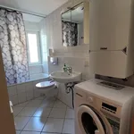 Rent 2 bedroom apartment of 55 m² in Fürth