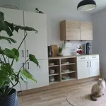 Rent 3 bedroom apartment of 57 m² in Gelsenkirchen