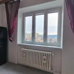 Rent 2 bedroom apartment of 77 m² in Brno