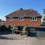 Detached house to rent in Shirley Drive, Hove BN3