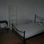 Rent a room in bologna