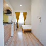 Rent 1 bedroom apartment in Brno