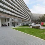 Rent 5 bedroom apartment of 98 m² in AMSTERDAM