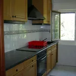 Rent 3 bedroom apartment of 100 m² in Cantabria']