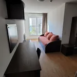 Rent 1 bedroom apartment of 24 m² in DARDILLY