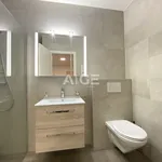 Rent 4 bedroom apartment in Genève,