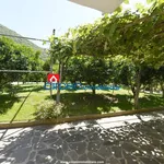 Rent 2 bedroom apartment of 50 m² in San Felice Circeo