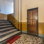 Rent 2 bedroom apartment of 50 m² in Torino