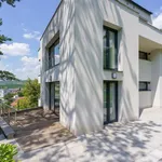 Rent 7 bedroom house of 300 m² in Prague