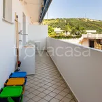 Rent 2 bedroom apartment of 35 m² in Tortoreto