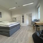 Rent 2 bedroom apartment of 60 m² in Karlsruhe