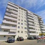 Rent 4 bedroom apartment of 59 m² in Fribourg - Freiburg