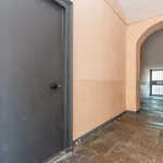 Rent 3 bedroom apartment of 33 m² in Turin