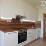 Rent 3 bedroom apartment of 90 m² in Brno