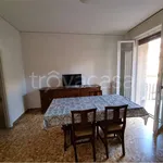 Rent 4 bedroom apartment of 110 m² in Mantova