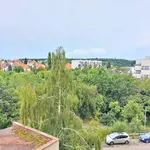 Rent 2 bedroom apartment of 46 m² in Praha