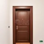 Rent 4 bedroom apartment of 115 m² in Praha