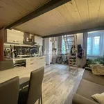 Rent 3 bedroom apartment of 60 m² in Torino