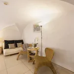 Rent 2 bedroom apartment of 80 m² in Florence