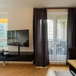 Rent 1 bedroom apartment in berlin