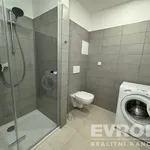 Rent 1 bedroom apartment of 30 m² in Pilsen