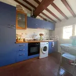 Rent 1 bedroom apartment of 25 m² in Firenze