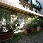 Rent 2 bedroom apartment of 50 m² in Turin