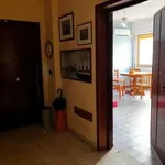 Affitto 2 camera appartamento di 64 m² in Palermo