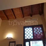 Rent 1 bedroom apartment of 50 m² in Catania