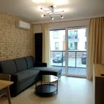 Rent 3 bedroom apartment of 54 m² in Toruń