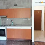 Rent 1 bedroom apartment of 35 m² in Ústí nad Labem